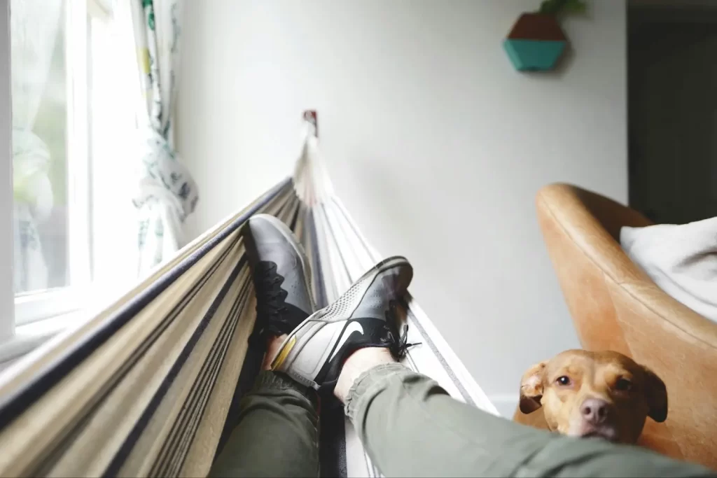POV Image of feet in a hammock indoors with a dog approaching